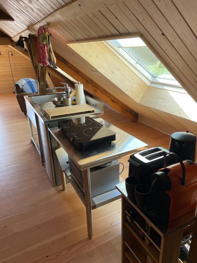 Apartamento Mon Refuge En Vasgovie Meisenthal Exterior foto